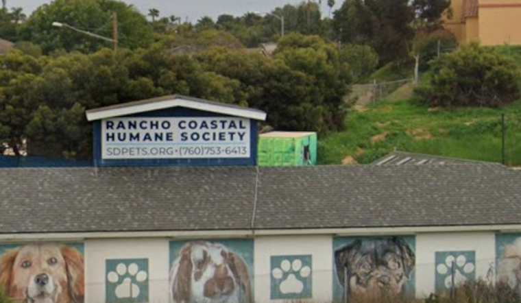 Unleash the Fun: San Diego's Rancho Coastal Humane Society Hosts Adults-Only Animal Camp with Wine and Puppies