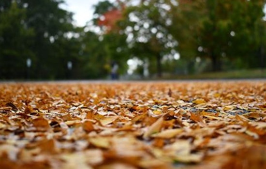 Upper Arlington Leaf Collection Program Ends December 7: Residents Advised on Final Drop-Off Procedures