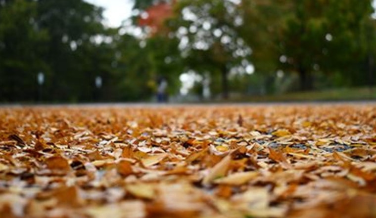 Upper Arlington Leaf Collection Program Ends December 7: Residents Advised on Final Drop-Off Procedures