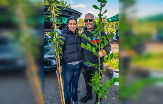 Urban Forestry Launches Free Tree Giveaway for Portland Properties