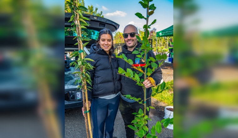 Urban Forestry Launches Free Tree Giveaway for Portland Properties
