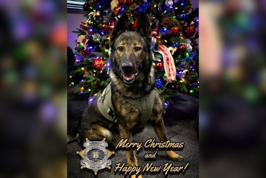Utah County Sheriff's Office Shares Festive Greetings from K9 Kash, Honors Officers Working Through Holidays