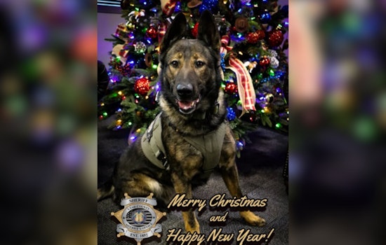 Utah County Sheriff's Office Shares Festive Greetings from K9 Kash, Honors Officers Working Through Holidays