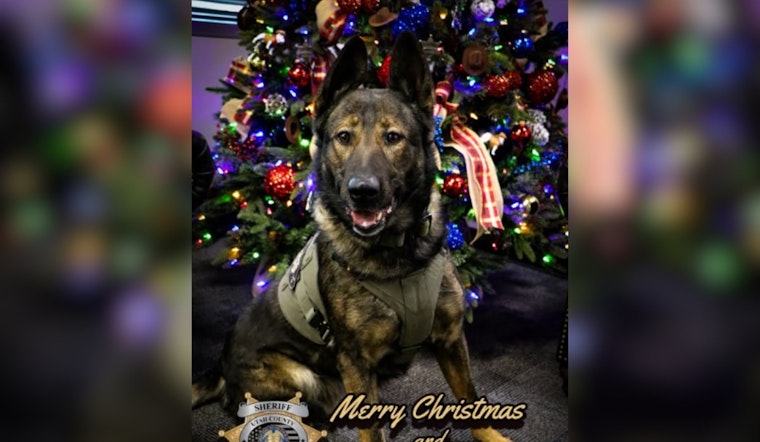 Utah County Sheriff's Office Shares Festive Greetings from K9 Kash, Honors Officers Working Through Holidays