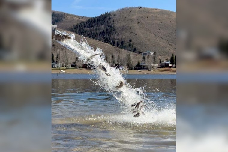 Utah Stocks Over 11.6 Million Fish in Local Waterbodies to Enhance Fishing Opportunities and Ecosystems