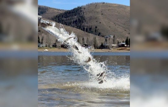 Utah Stocks Over 11.6 Million Fish in Local Waterbodies to Enhance Fishing Opportunities and Ecosystems