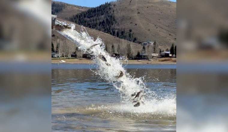 Utah Stocks Over 11.6 Million Fish in Local Waterbodies to Enhance Fishing Opportunities and Ecosystems