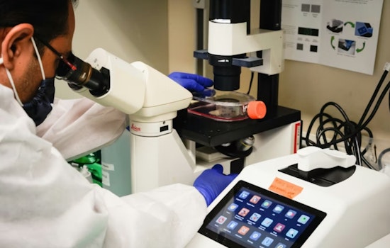 UTEP Researchers Identify Potential New Treatment Strategy for Lethal Ovarian Cancer