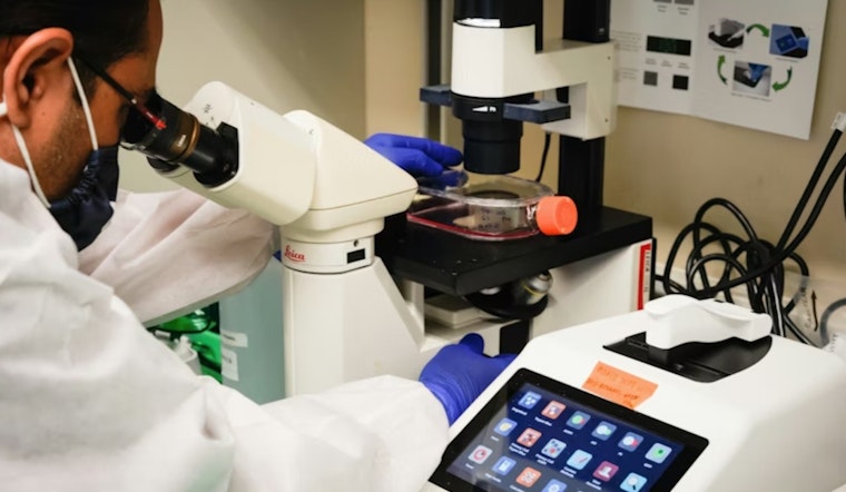 UTEP Researchers Identify Potential New Treatment Strategy for Lethal Ovarian Cancer