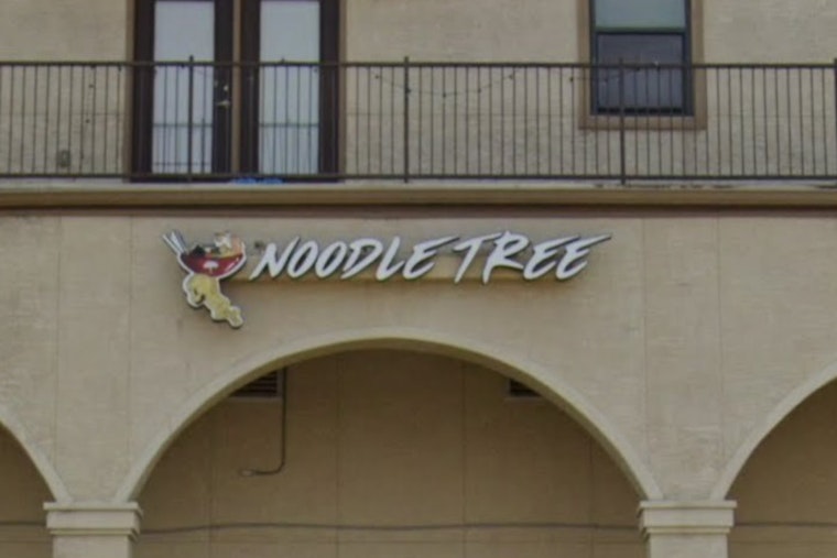 UTSA’s Go-To Ramen Spot Noodle Tree Set To Serve Its Final Bowl In January