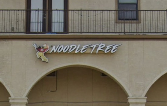 UTSA’s Go-To Ramen Spot Noodle Tree Set To Serve Its Final Bowl In January