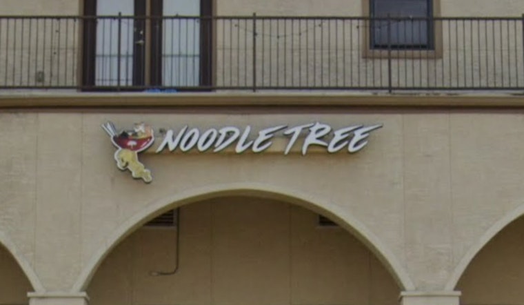 UTSA’s Go-To Ramen Spot Noodle Tree Set To Serve Its Final Bowl In January