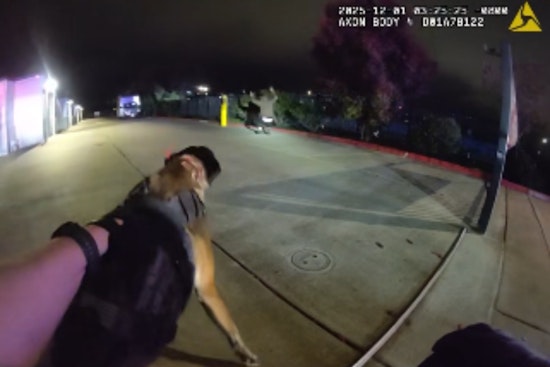 Vacaville Cops Deploy Infrared Drone and K9 Rooster to Corner Alleged Gunman by I-505