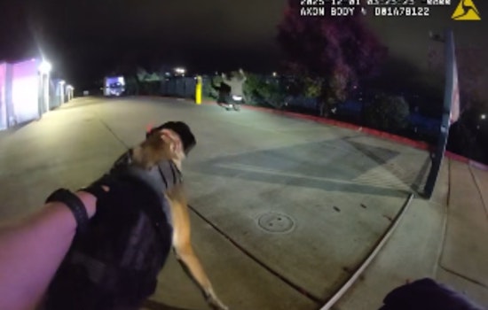 Vacaville Cops Deploy Infrared Drone and K9 Rooster to Corner Alleged Gunman by I-505