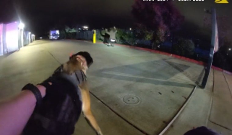 Vacaville Cops Deploy Infrared Drone and K9 Rooster to Corner Alleged Gunman by I-505