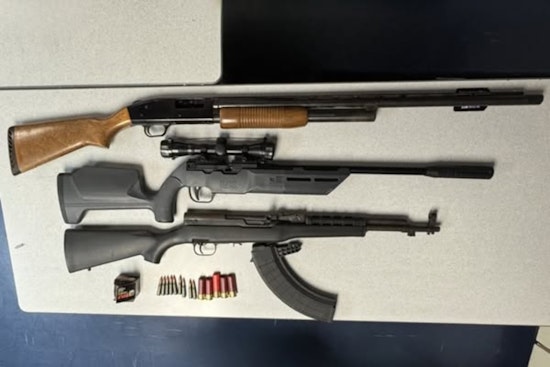 Vallejo Police Detain Suspect After Armed Dispute Over Unleashed Dog, Firearms Seized