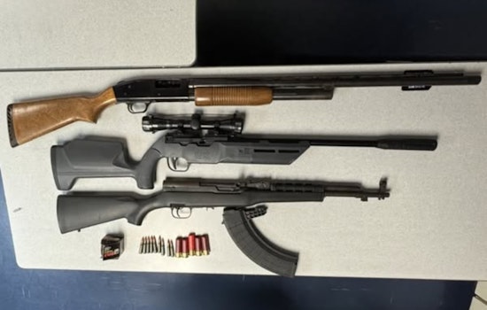 Vallejo Police Detain Suspect After Armed Dispute Over Unleashed Dog, Firearms Seized