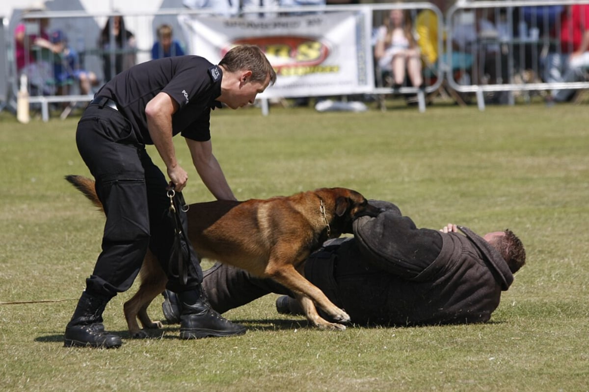 Warren Honors Local Non-Profit Founders for Exceptional Support of Police K-9 Unit