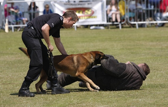 Warren Honors Local Non-Profit Founders for Exceptional Support of Police K-9 Unit