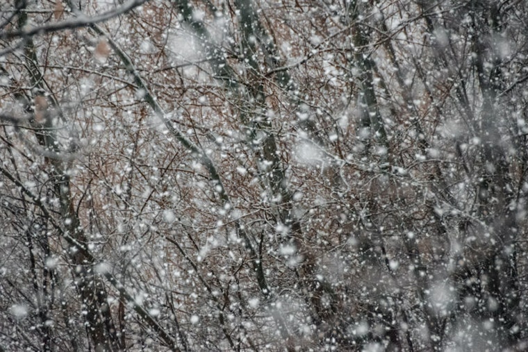 Washington D.C. and Surrounding Areas Face Winter Weather Advisory as NWS Warns of Snowfall, Slippery Roads, and Gale Conditions