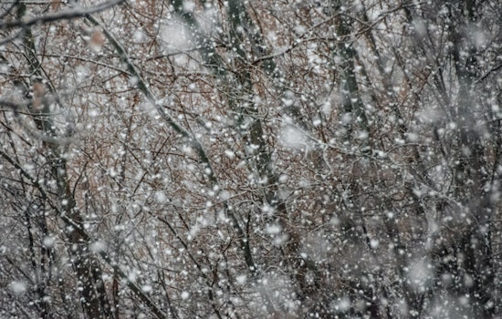 Washington D.C. and Surrounding Areas Face Winter Weather Advisory as NWS Warns of Snowfall, Slippery Roads, and Gale Conditions