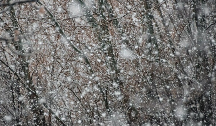 Washington D.C. and Surrounding Areas Face Winter Weather Advisory as NWS Warns of Snowfall, Slippery Roads, and Gale Conditions