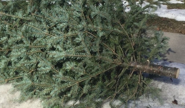 Waukesha Announces Eco-Friendly Christmas Tree Collection Service for January