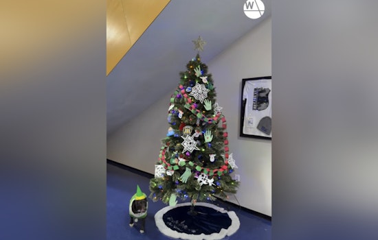 Wentzville Celebrates Unity with Trim-a-Tree Event as Police Department Remains Open Over Holidays