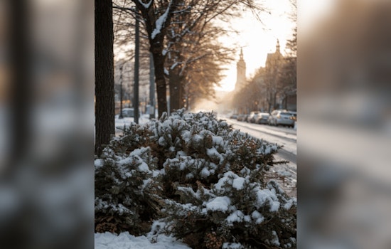 West Jordan Offers Convenient Christmas Tree Disposal Services with Drop-Off and Curbside Pickup Options