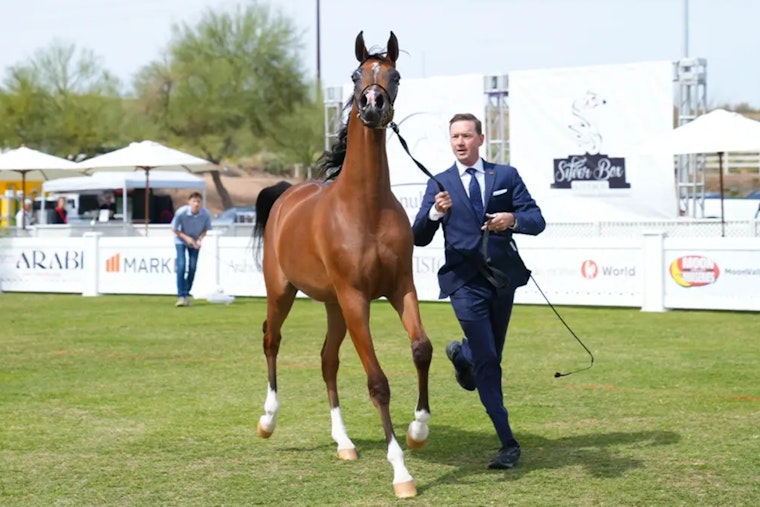 WestWorld of Scottsdale Celebrates a Year of Growth with Diverse Events and Infrastructure Upgrades
