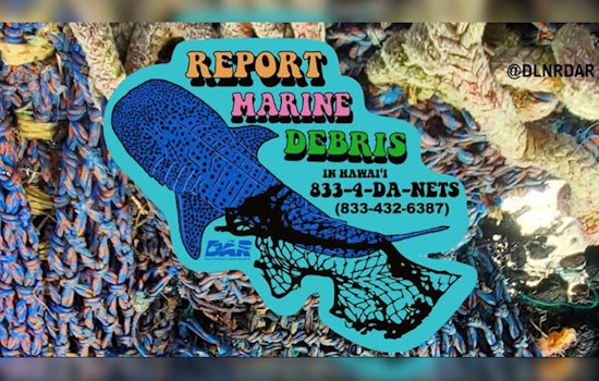 Whale Warriors Yank 12,000 Pounds Of Junk From Maui Seas