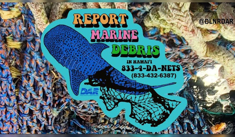 Whale Warriors Yank 12,000 Pounds Of Junk From Maui Seas
