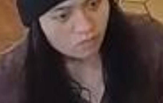 Wilson County Sheriff’s Office Seeks Public’s Help in Vehicle Burglaries and Credit Card Theft Case