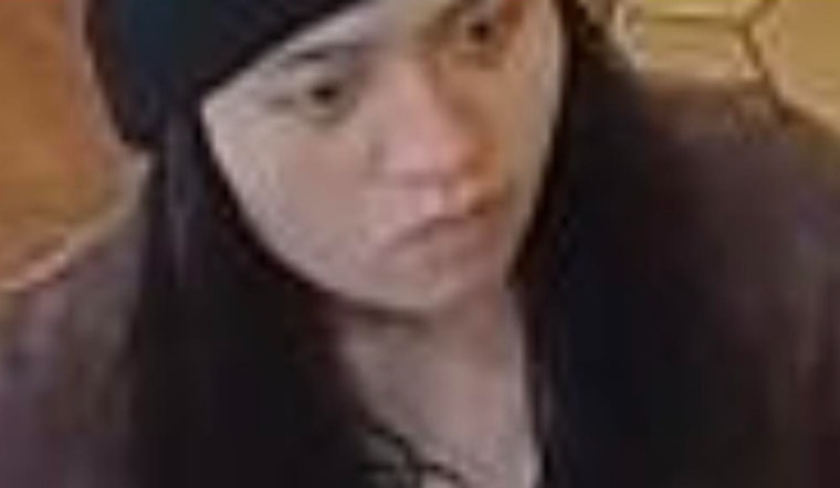 Wilson County Sheriff’s Office Seeks Public’s Help in Vehicle Burglaries and Credit Card Theft Case