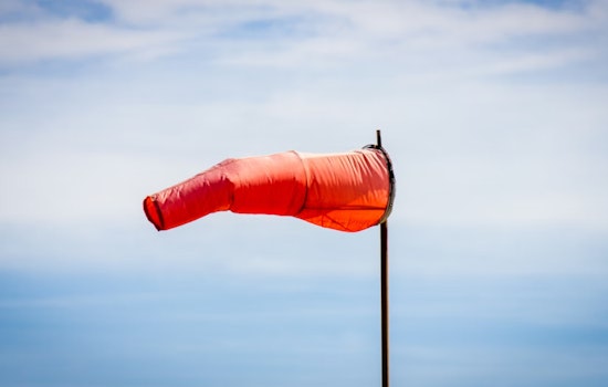 Wind Advisory in Effect for Philadelphia as Gusts Up to 50 MPH Are Expected Today