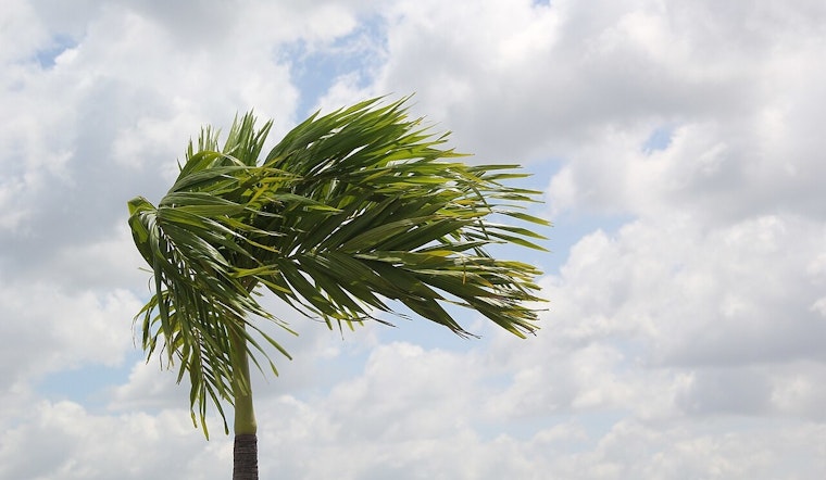Wind Advisory Issued for Memphis and Surrounding Areas Until Monday Morning