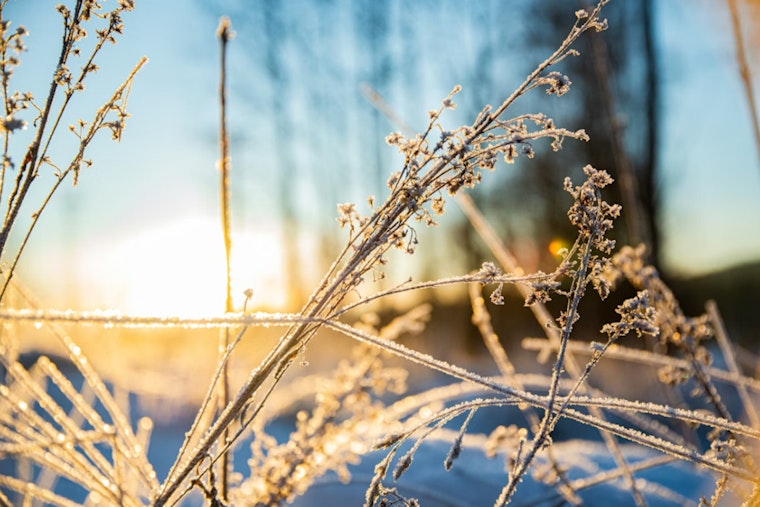 Winter Chill Persists in Washington D.C. with Overcast Skies and Brisk Temperatures