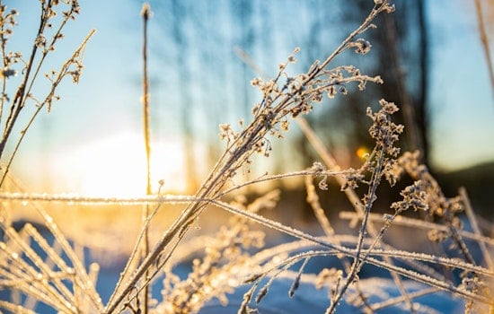 Winter Chill Persists in Washington D.C. with Overcast Skies and Brisk Temperatures