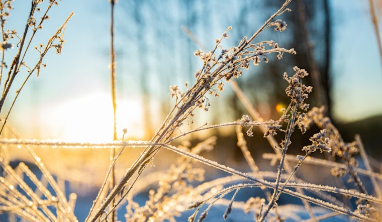 Winter Chill Persists in Washington D.C. with Overcast Skies and Brisk Temperatures