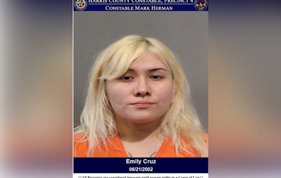 Woman Arrested After Assault and Hit-and-Run at Denny's on Louetta Road, Harris County Officials Report