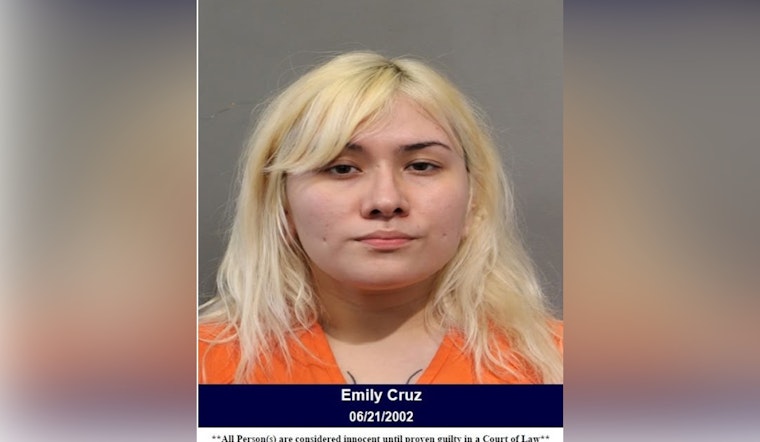 Woman Arrested After Assault and Hit-and-Run at Denny's on Louetta Road, Harris County Officials Report