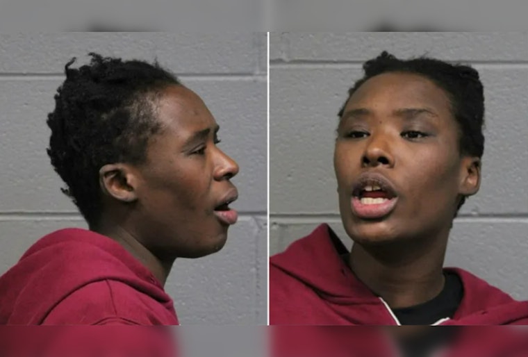 Woman Charged with Attacking Multiple CTA Riders in Chicago, Prompting Transit Safety Scrutiny by Federal Authorities