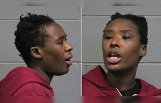 Woman Charged with Attacking Multiple CTA Riders in Chicago, Prompting Transit Safety Scrutiny by Federal Authorities