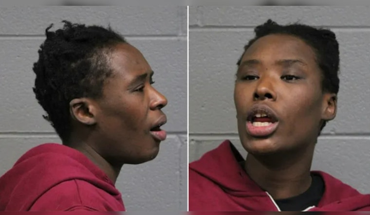 Woman Charged with Attacking Multiple CTA Riders in Chicago, Prompting Transit Safety Scrutiny by Federal Authorities