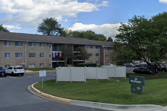 Woman Found Dead in Laurel Residence, Suspect in Custody; Prince George's County Police Launch Homicide Investigation