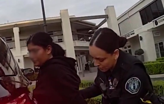 Woman Intervenes to Rescue Elderly Victim in Purse Snatching Incident