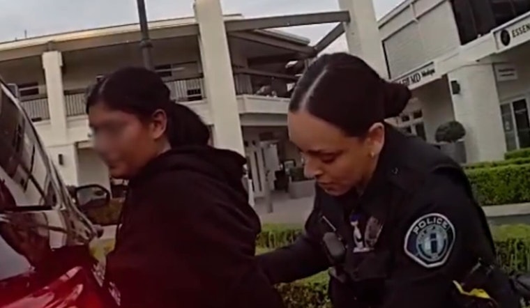 Woman Intervenes to Rescue Elderly Victim in Purse Snatching Incident