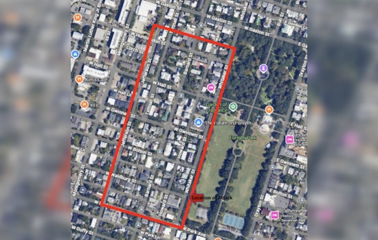 Woman Left With Grievous Burns in Horrific Forsyth Park Chemical Assault