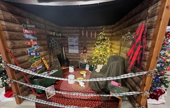 Wright County Historical Society's Festival of Trees Hits Record Attendance; Open Till Jan 3 with Special Harp Performance