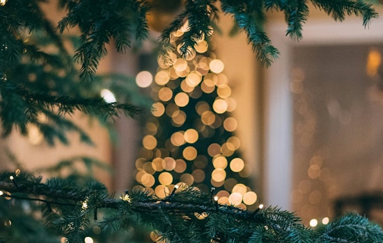 Wright County Historical Society's Festival of Trees Brightens the Holidays with Record Attendance